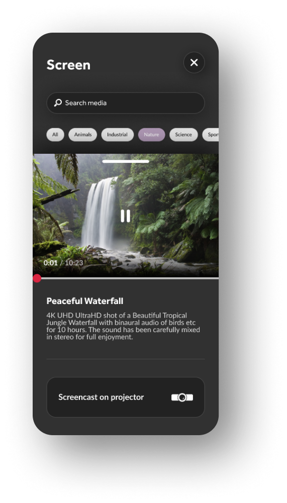 Solace app — room controls