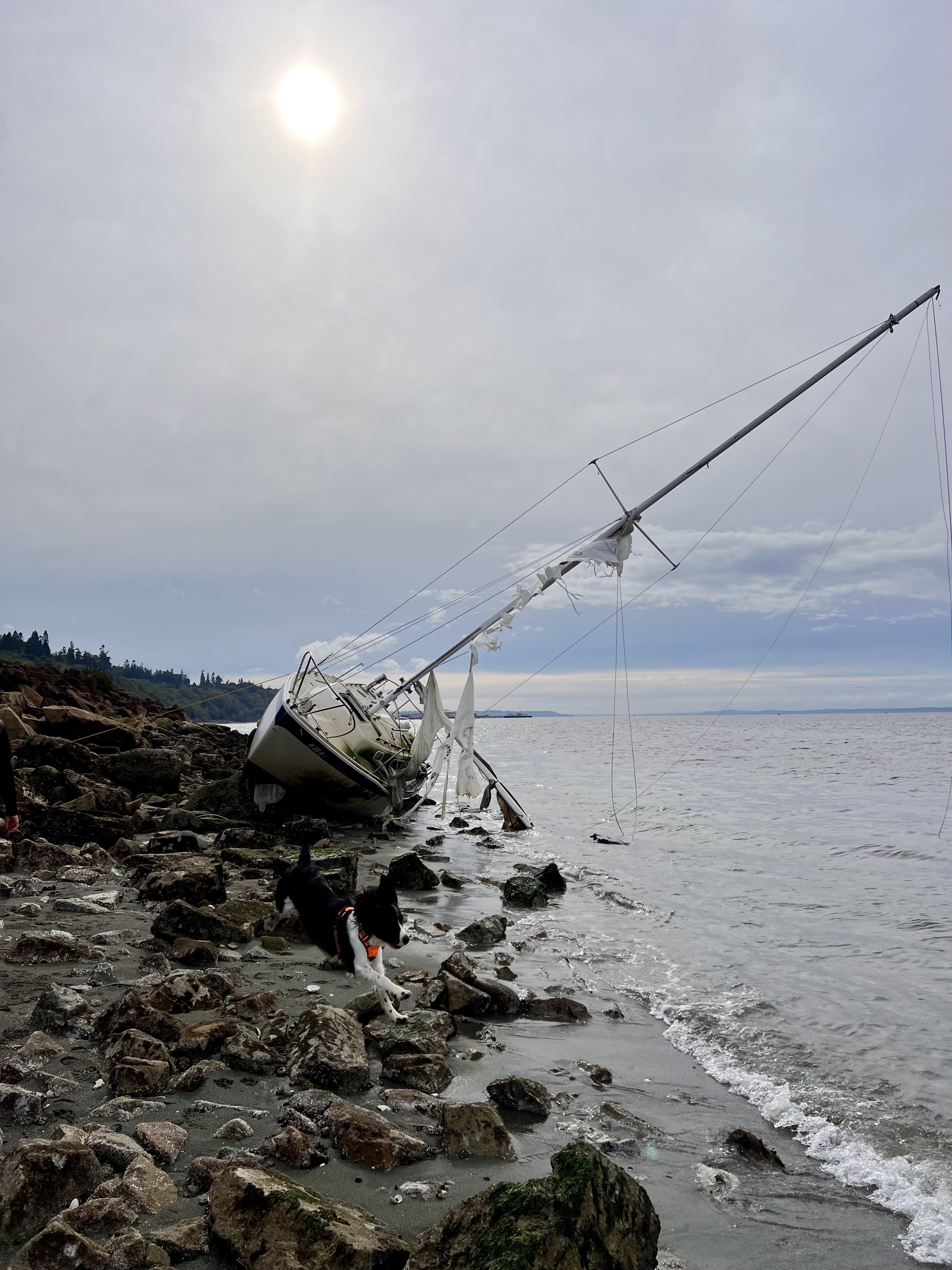 Sailboat